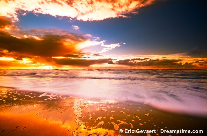 Dreamstime tweet media