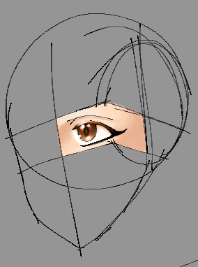 SomeRando____'s tweet photo. nearly 2am barely finished brush test again https://t.co/sSbIjEb1kC