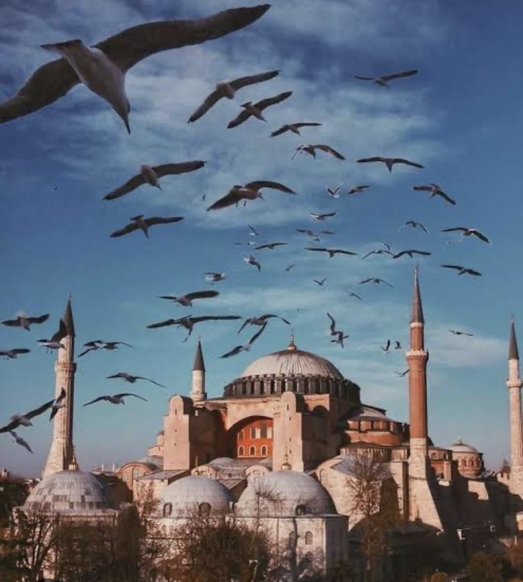 MneVural's tweet photo. Birlik, beraberlik ve paylaşmanın en güzel şekilde yaşandığı Kurban Bayramı’nın ülkemize huzur ve bereket getirmesini dilerim.

Sevdiklerinizle birlikte nice mutlu bayramlar geçirmeniz temennisiyle,tüm İslam Aleminin Kurban Bayramı mübarek olsun. 

#KurbanBayramıMübarekOlsun https://t.co/gnLzw8DK7W