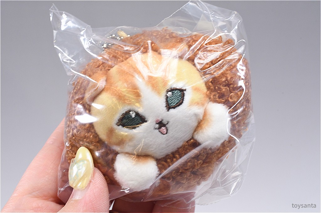✨新商品案内 2026年5月27日(水)✨／ ☑️mofusand パンにゃん