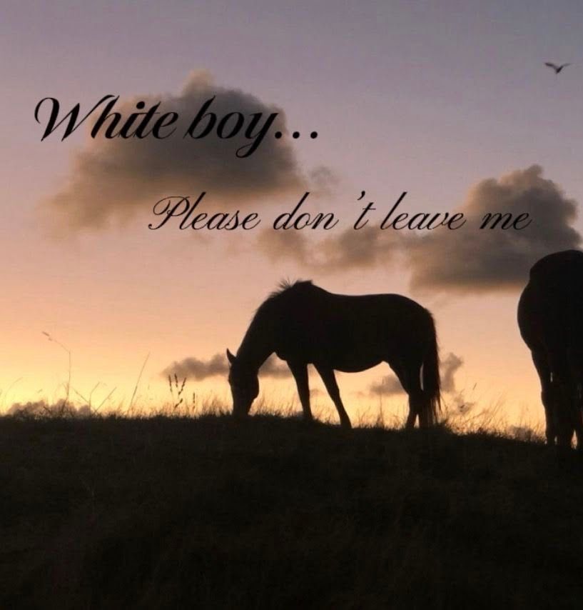 equine__dentist's tweet photo. white boy please… https://t.co/O0W0W94e1f