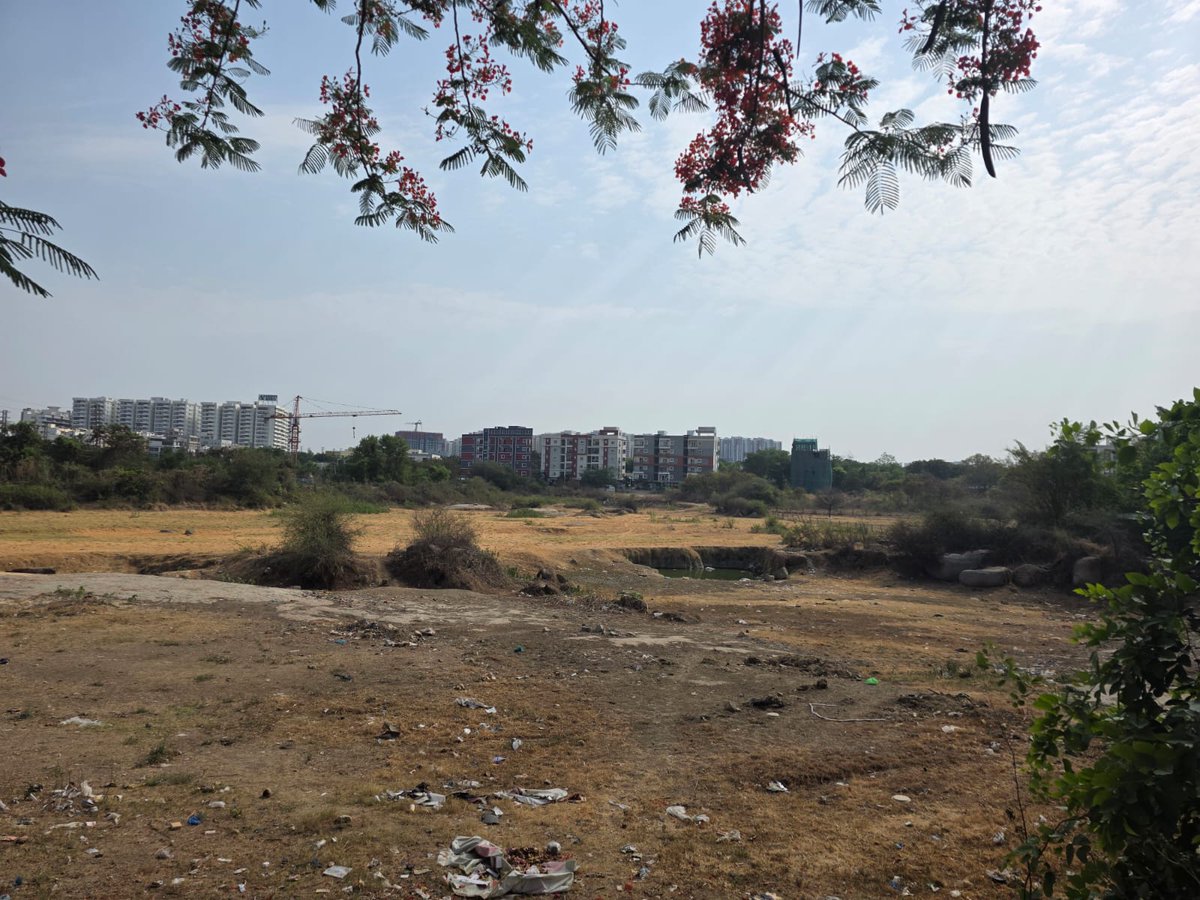 Srikanth_sevan's tweet photo. This is Gopanpally lake, opp ranganatha swamy temple. @CMC_Offcl Can you please look into restoration of lake by removing mud,trash etc. Hope rain water catchment increases water level.
@GummallaSrijana @ZC_SLP @DC_SLP49 @MC_Cyberabad https://t.co/l0PStLAvsO