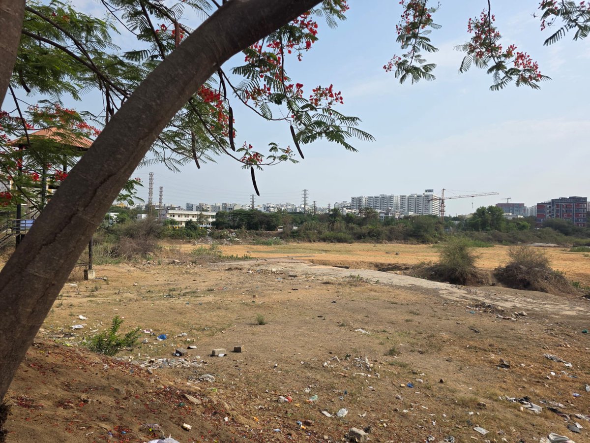 Srikanth_sevan's tweet photo. This is Gopanpally lake, opp ranganatha swamy temple. @CMC_Offcl Can you please look into restoration of lake by removing mud,trash etc. Hope rain water catchment increases water level.
@GummallaSrijana @ZC_SLP @DC_SLP49 @MC_Cyberabad https://t.co/l0PStLAvsO