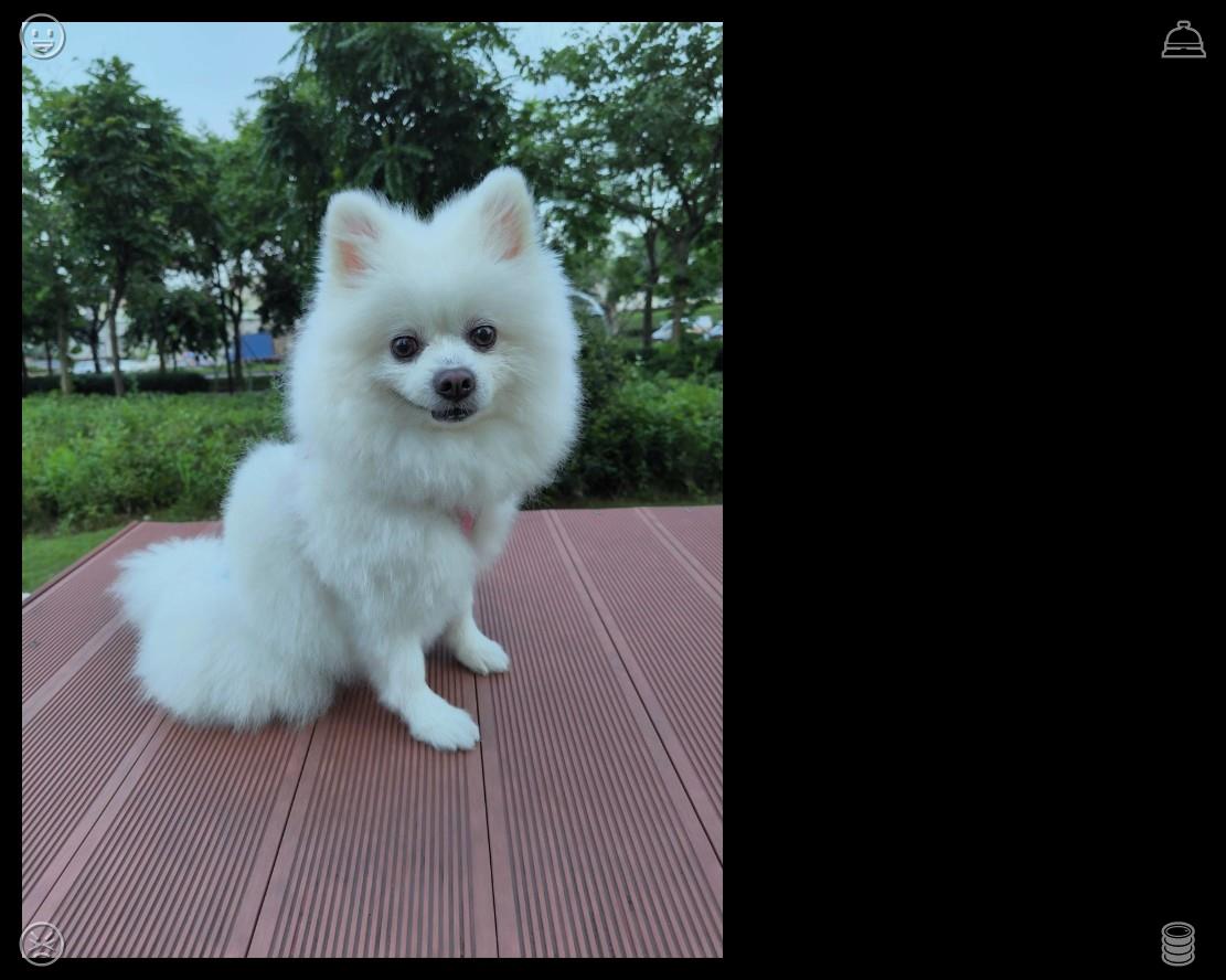 mrtjunyer tweet picture