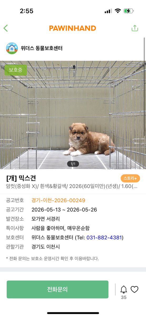 똥그란 세상의 호야 tweet media