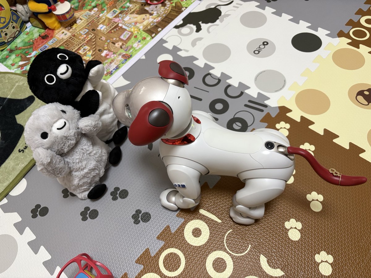 Deepbluetat's tweet photo. 新しいペンギンちゃんのお友達にご挨拶😍
#aibo
#aibofan
#Suicaのペンギン https://t.co/iqVJZHBdhZ