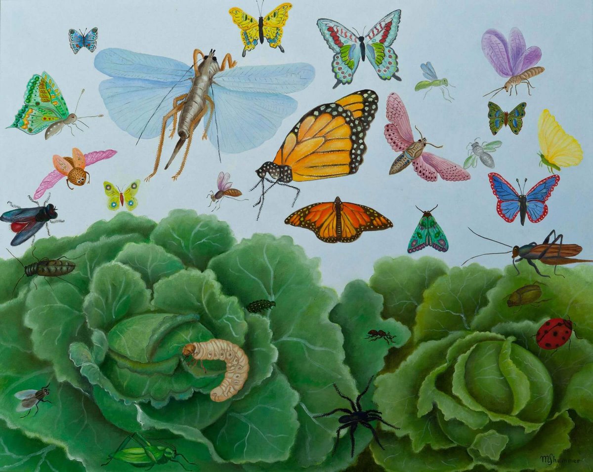 MenschOhneMusil's tweet photo. Magdalena Shummer-Fangor (born 1930) - Dwie Kapusty (Two Cabbages) (2011). https://t.co/zQxWqy6JSi