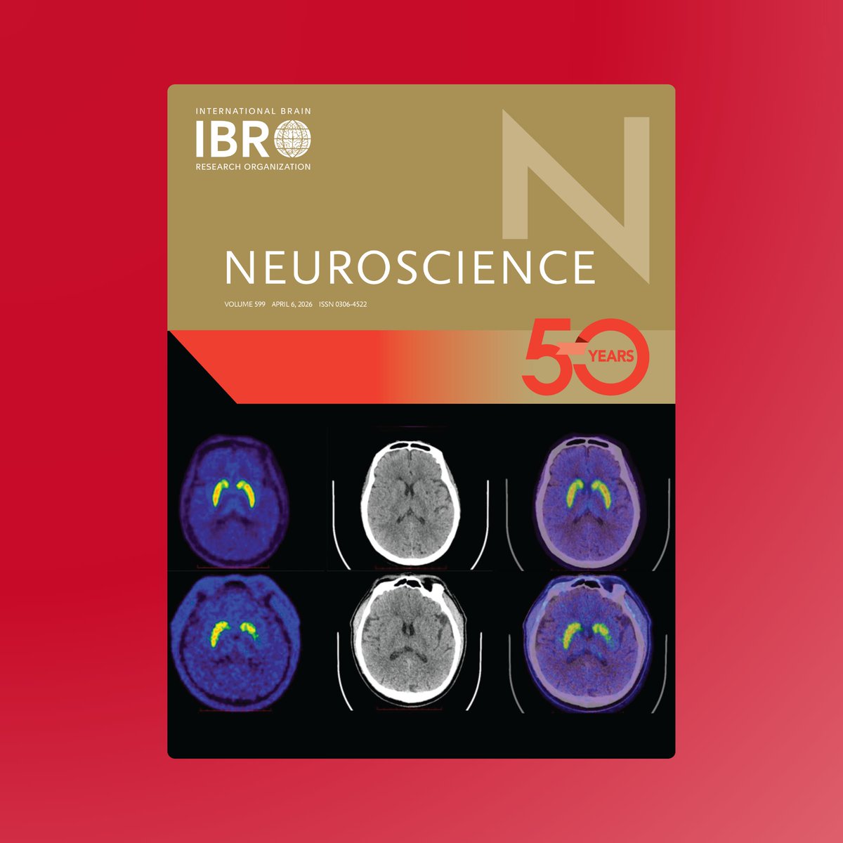 IBROjournals's tweet photo. ✨ We’re still loving this year’s touch of gold. Which #Neuroscience issue has your attention – Volume 599, 600, 601, or 602?

Find all the issues: https://t.co/wglorbawQ5

#IBROjournals @IBROorg @franciru1 https://t.co/PTHABBTNqk