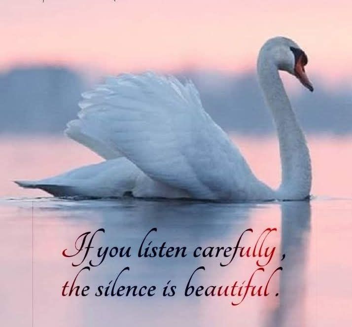 EGM_Cancer's tweet photo. https://t.co/8QIy52Se3M