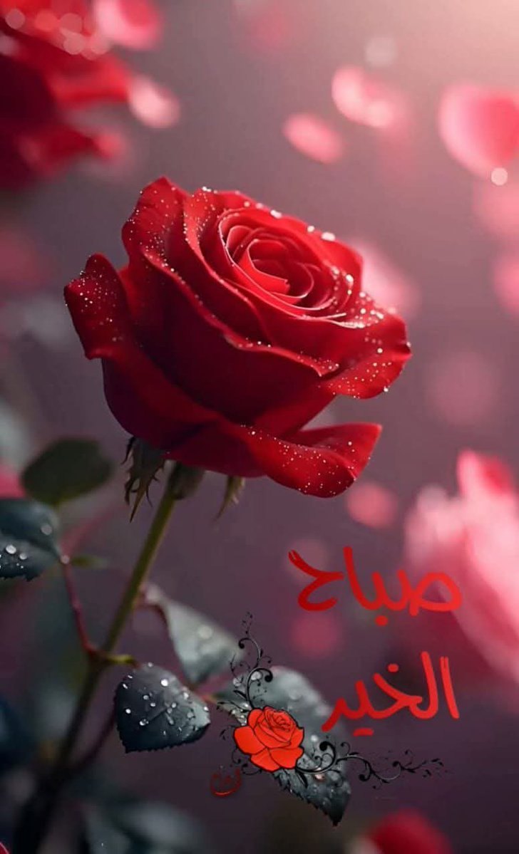 Mohanna tweet media