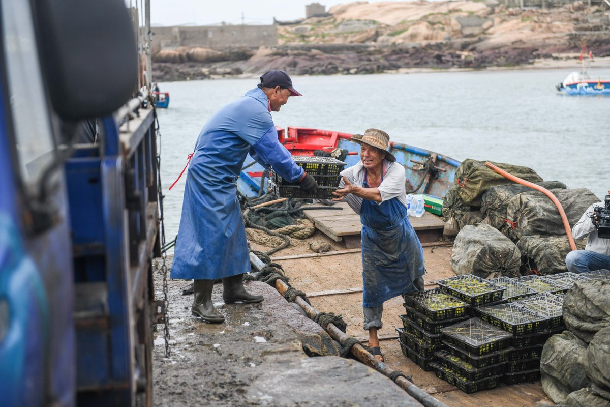 HolaFujian's tweet photo. 🌊10 million abalone fry! Dongxing Village welcomes peak seeding season! Welcome to Pingtan, Fujian!
#Fujian #Pingtan #Abalone #Aquaculture #RuralVitalizationInFujian
@fujiantravel @pingtanchina @EDNewsChina @CEIS24060800 @ChinaCG_Muc @ConsulChinaRJ @China_Lyon @CGChinaSP @EmbSuarezSalvia @FAOfish @WrldAquaculture @aqua_focus @AquacultureMag @Aquaculture @Echinanews @EconomicMalawi