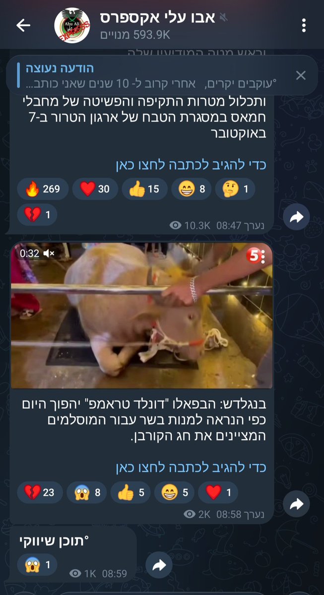 אחד מהעם🇮🇱 tweet media