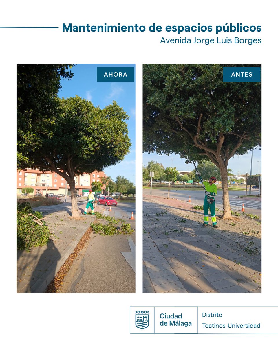 parquesmlg's tweet photo. Durante la jornada de ayer, en el Distrito Teatinos-Universidad , se realizaron trabajos de poda de arbolado en avenida Jorge Luis Borges.

@malaga https://t.co/tQmLYMmA61