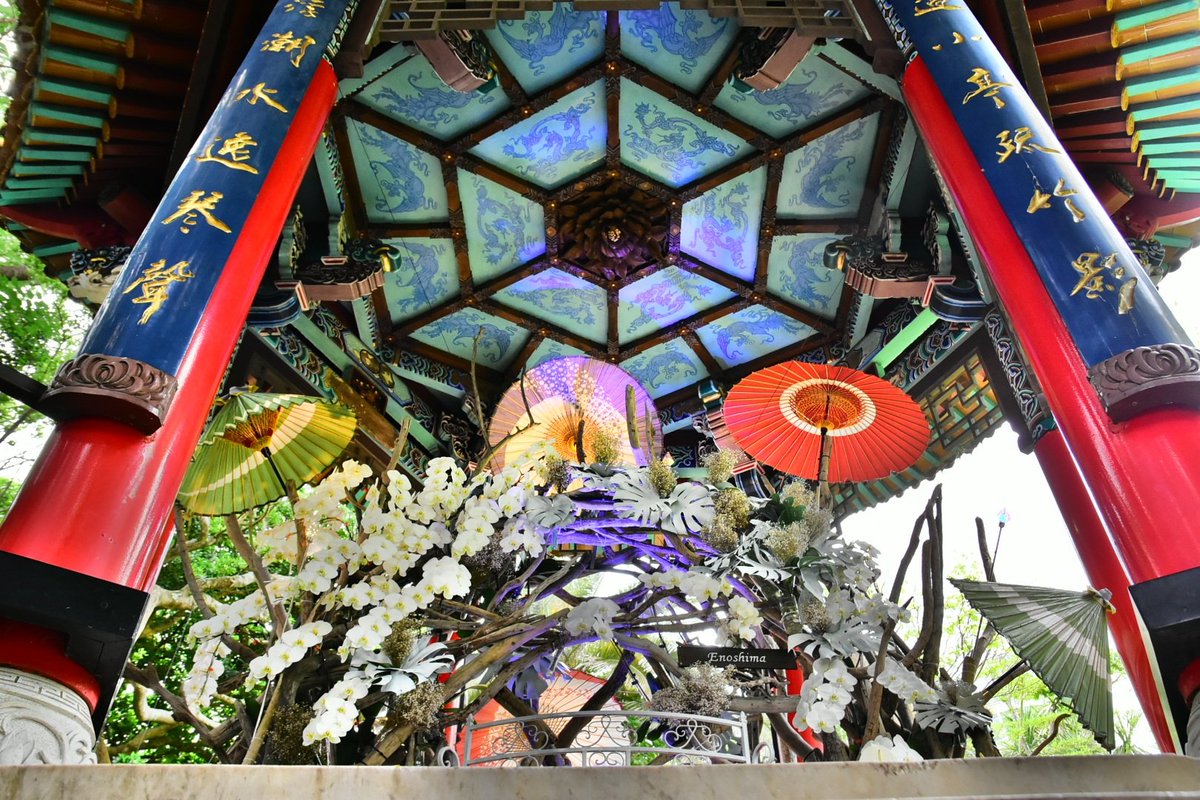 macap44's tweet photo. 神奈川ドライブ〜江の島〜江島神社〜サムエル・コッキング苑〜江の島シーキャンドル
#江の島 #湘南 #神奈川県 https://t.co/DEYiHLRZqq