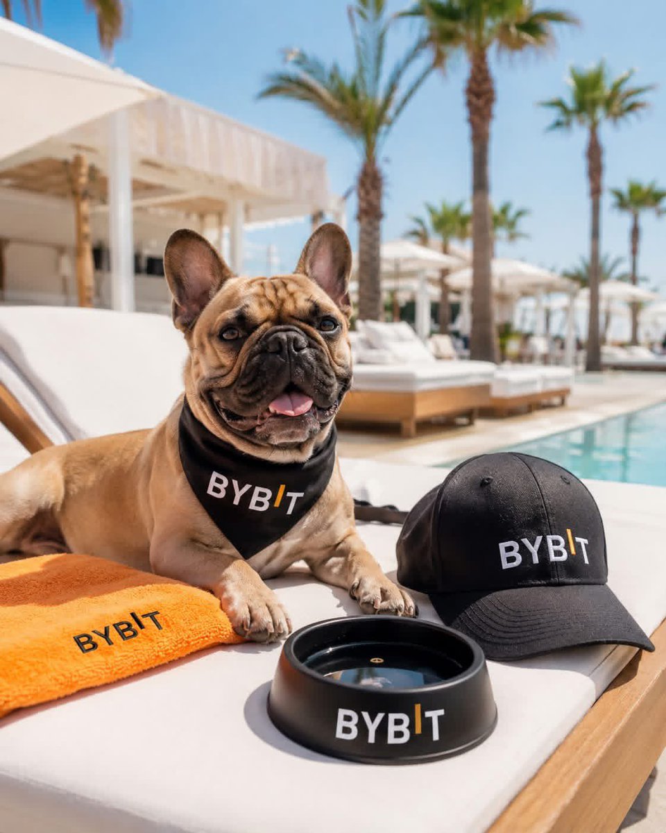 Bybit Africa tweet media