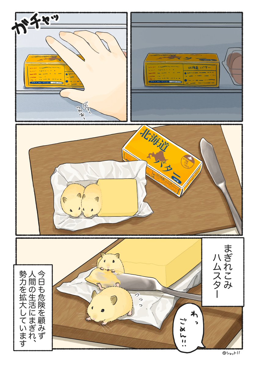 ショット‼︎ tweet media