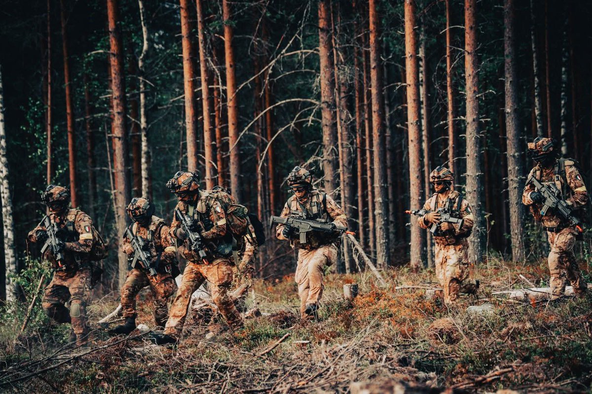 _6BPD_'s tweet photo. 🇫🇮 Rozpoczęliśmy kolejny tydzień międzynarodowego ćwiczenia „Saber Strike 26” 🪂
——————————————
W Finlandii, ramię w ramię z sojusznikami #NATO 🇫🇷 🇺🇸 🇭🇺 🇵🇱 🇮🇹 🇬🇧 🇫🇮, intensywne działania taktyczne realizują spadochroniarze z #6 Brygady Powietrznodesantowej. https://t.co/rEeWTBHEY9