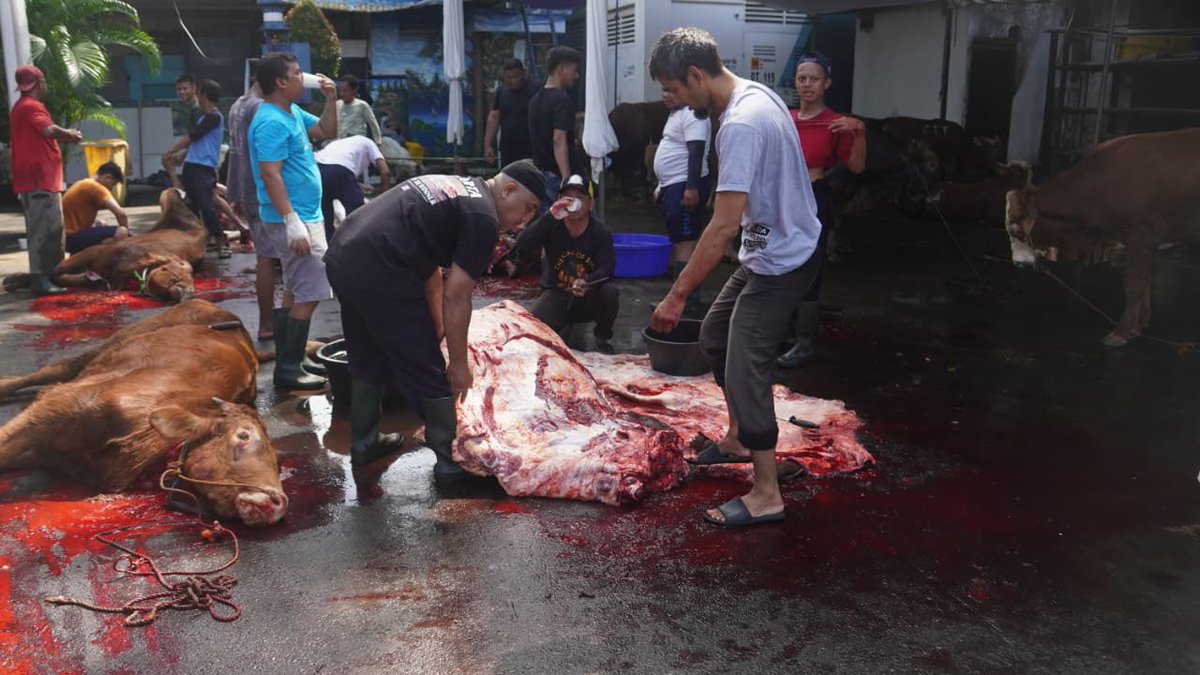 NasDem's tweet photo. Pada perayaan tahun ini, jumlah partisipasi kurban tercatat mengalami peningkatan, termasuk di antaranya sumbangan sapi dari Ketua Umum Partai NasDem, Surya Paloh. Puluhan kambing dan puluhan sapi dipotong pada Rabu, 27 Mei 2026.

#IdulAdha
#HewanKurban https://t.co/Peyj9NZ3tA