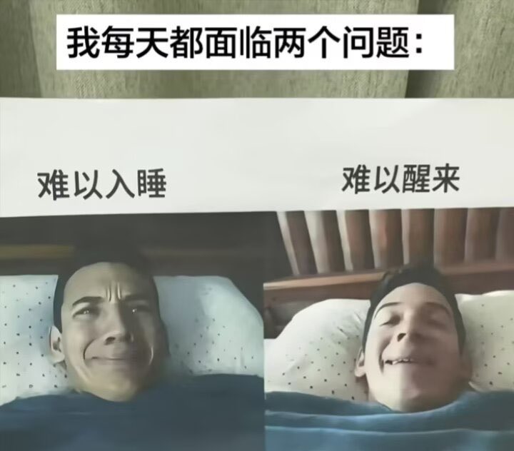 恋 tweet media