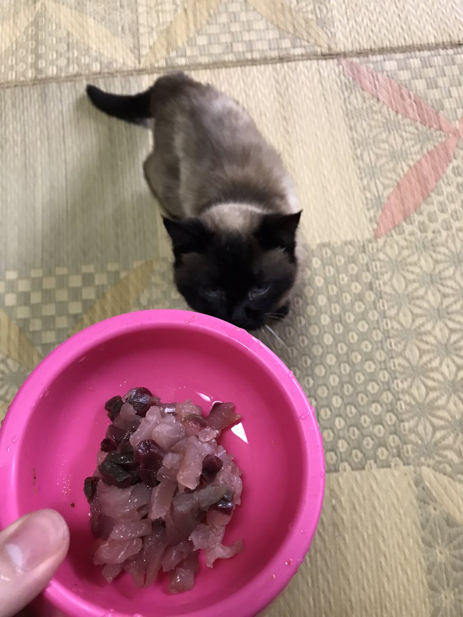 冬の忘れ物 tweet media