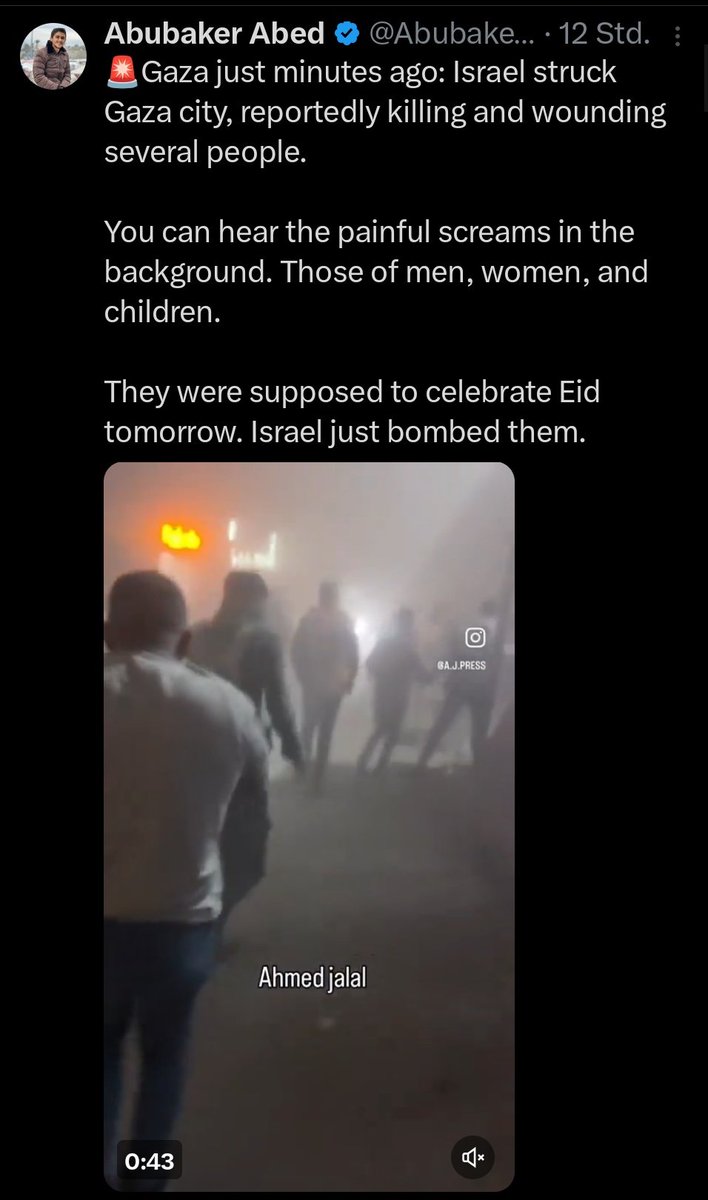YahudiBrudi tweet media