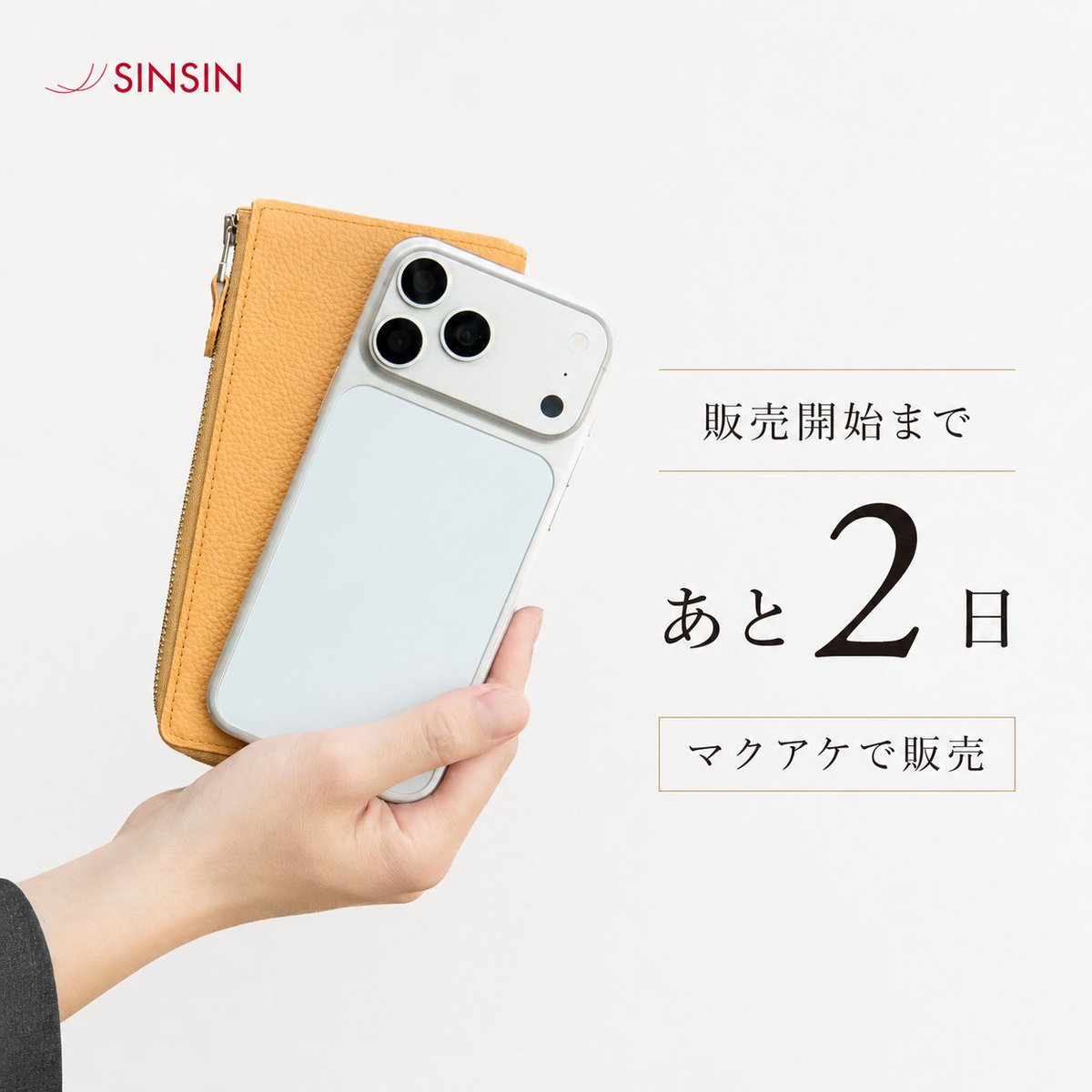 新進工房 (@sinsinkobo) / Posts / X