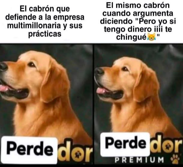 El crítico crítico ☭ tweet media