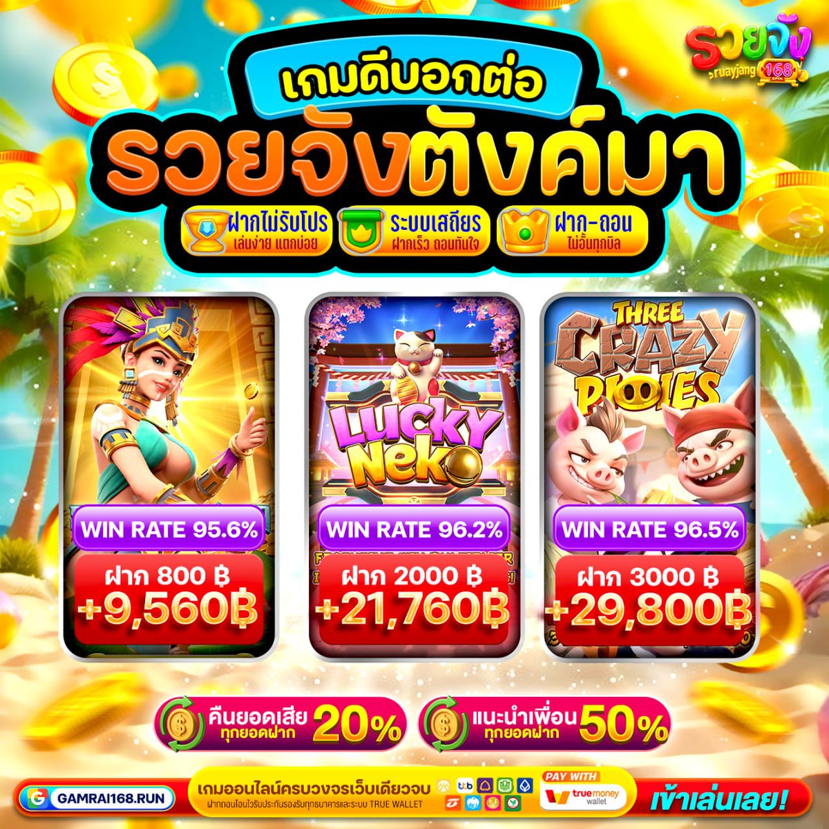 ฟินจัง ตังมา tweet media