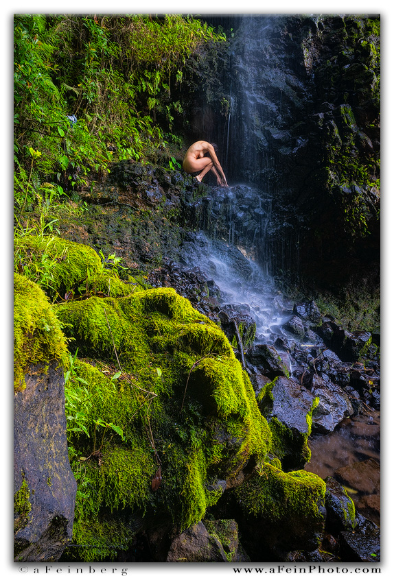 aFeinNude by aFeinberg.eth tweet media