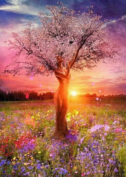 CountessPrax's tweet photo. Focus all your energy on manifesting love, stability, and comfort in your life. https://t.co/xO5IUCsDOi