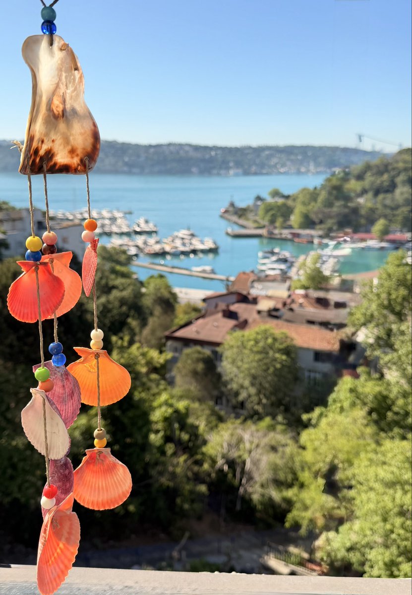 Gül tweet media