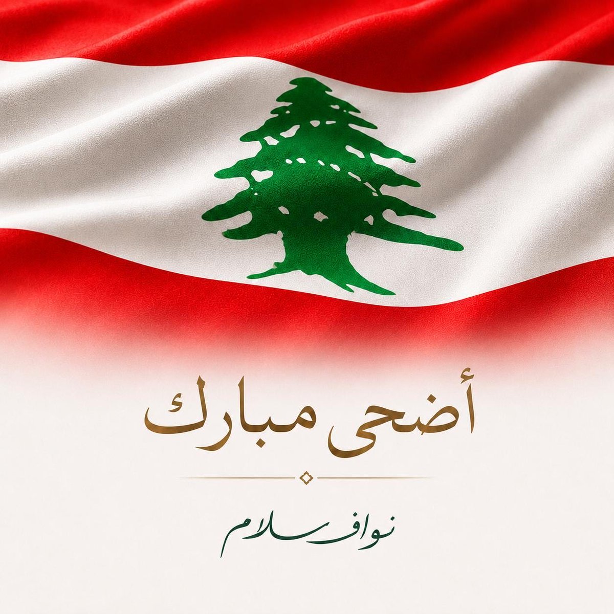 Nawaf Salam نواف سلام tweet media