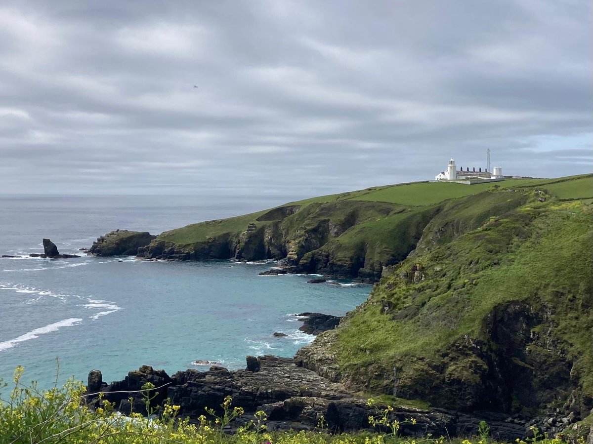 mandy_pitman's tweet photo. Lizard Lighthouse 💚💙 https://t.co/SYDACPmIin