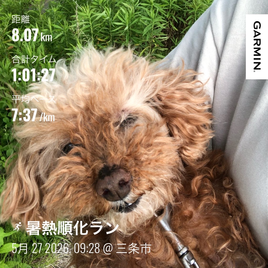 みもざ・次走は2027年に入ってからを予定しています tweet media