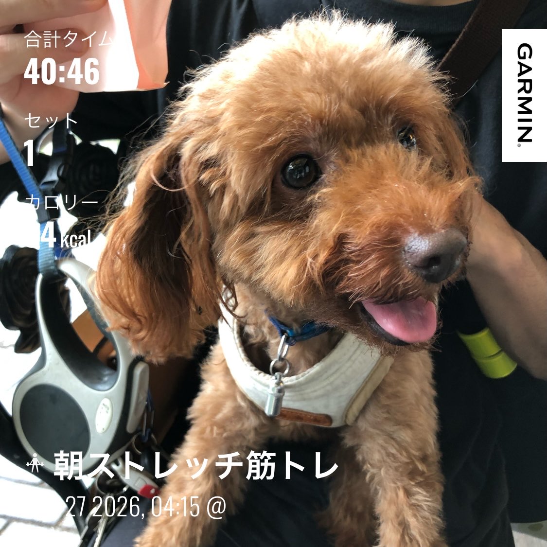 みもざ・次走は2027年に入ってからを予定しています tweet media