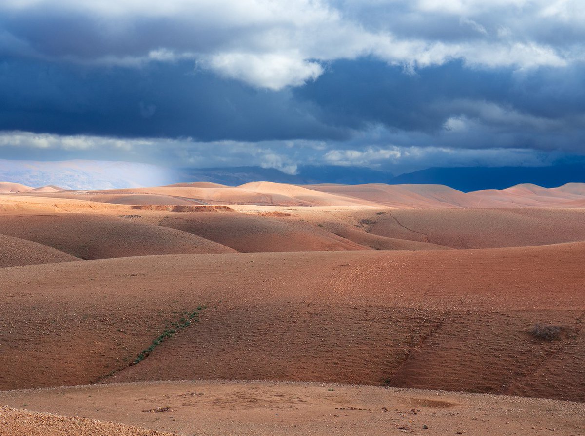 MarcelinoPozo's tweet photo. Hay silencios que hablan más que cualquier ciudad.
Desierto de Agafay, Marrakesh. Foto: Marcelino Pozo
#Agafay #Morocco #TravelPhotography #desertwarrior 
Feb/2023. EM10 Mark II #olympus M 14-42mm f:9,0 1/250s ISO:200 @OMSYSTEMcameras https://t.co/WBjhU9jLpp