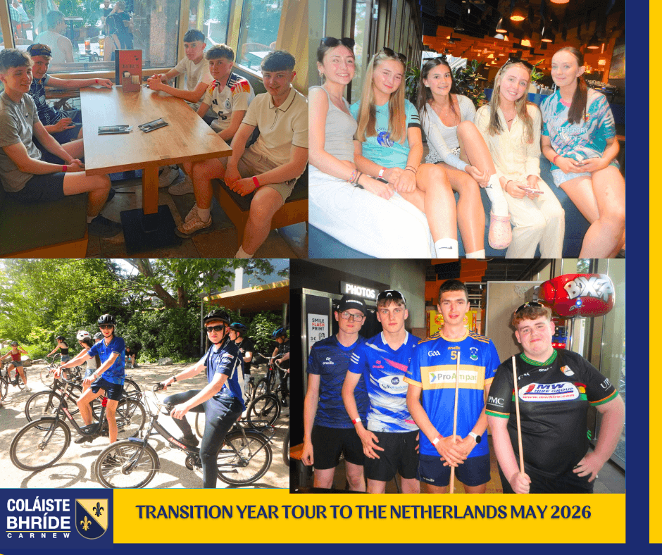 cbcarnew's tweet photo. Our Transition Year students enjoyed 30-degree sunshine on their first day in the city. An extensive bike tour was rounded off with dinner near the hotel, before students took part in an unofficial pool tournament and other evening games. https://t.co/AX4hEITp0Q