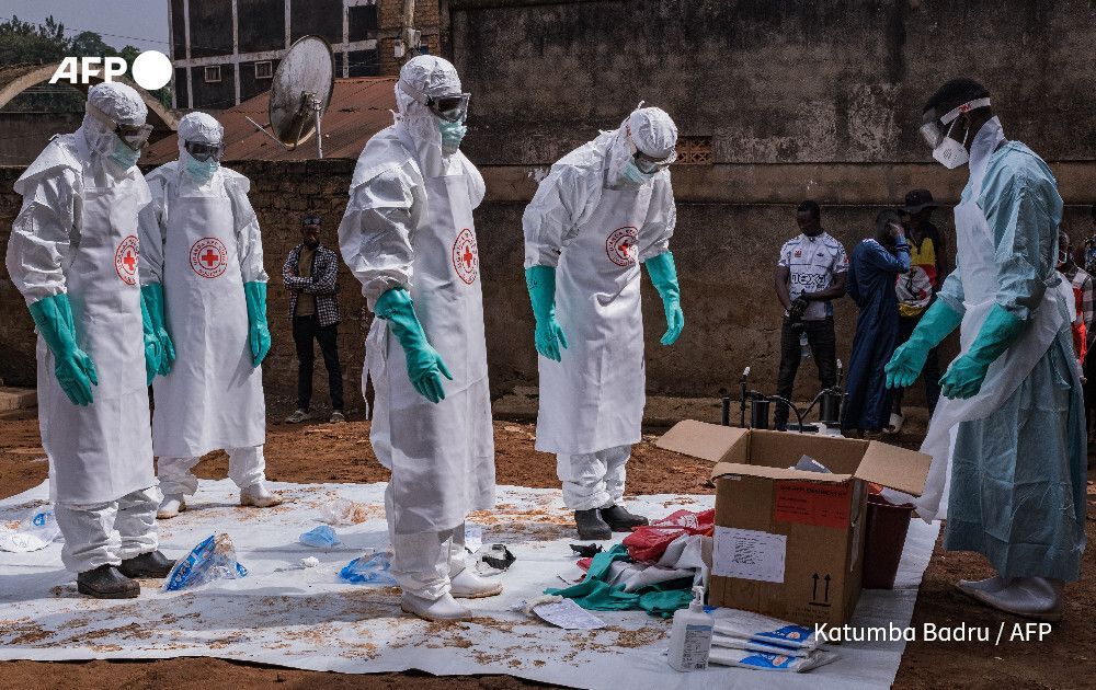 AFP News Agency tweet media