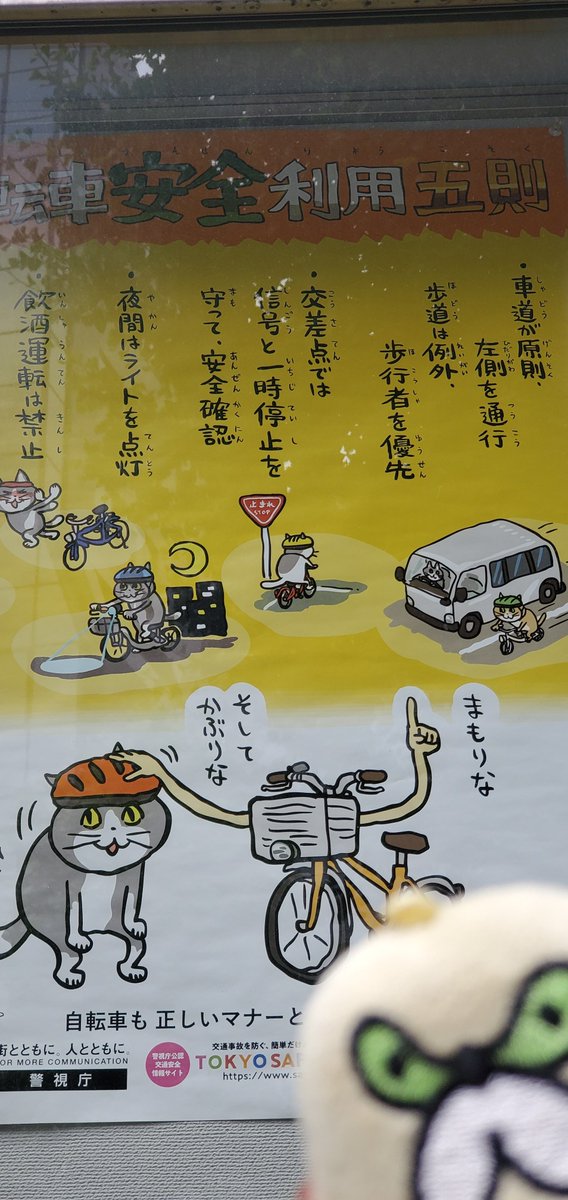シュレーディンガーの猫缶 🐣 tweet media