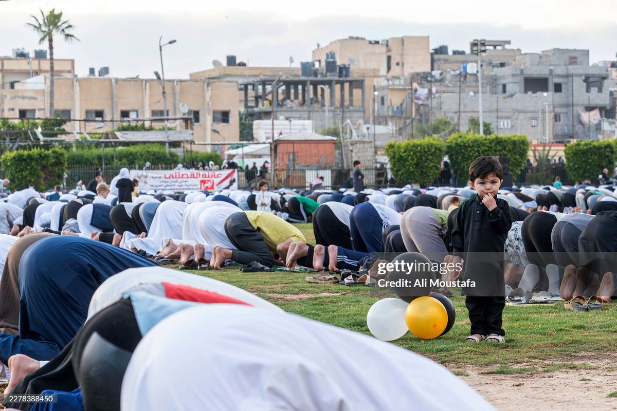 Ali Moustafa tweet media
