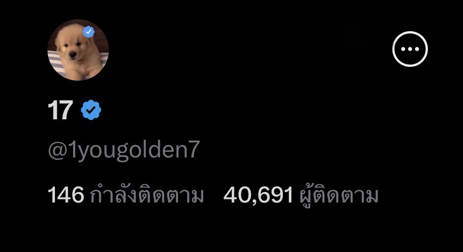 17 (แอคเก่าโดนแบน) tweet media