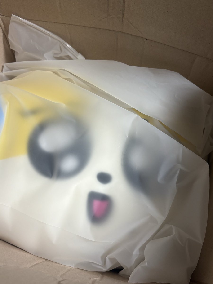 yuki(ㅅㅌ:리밋) tweet media