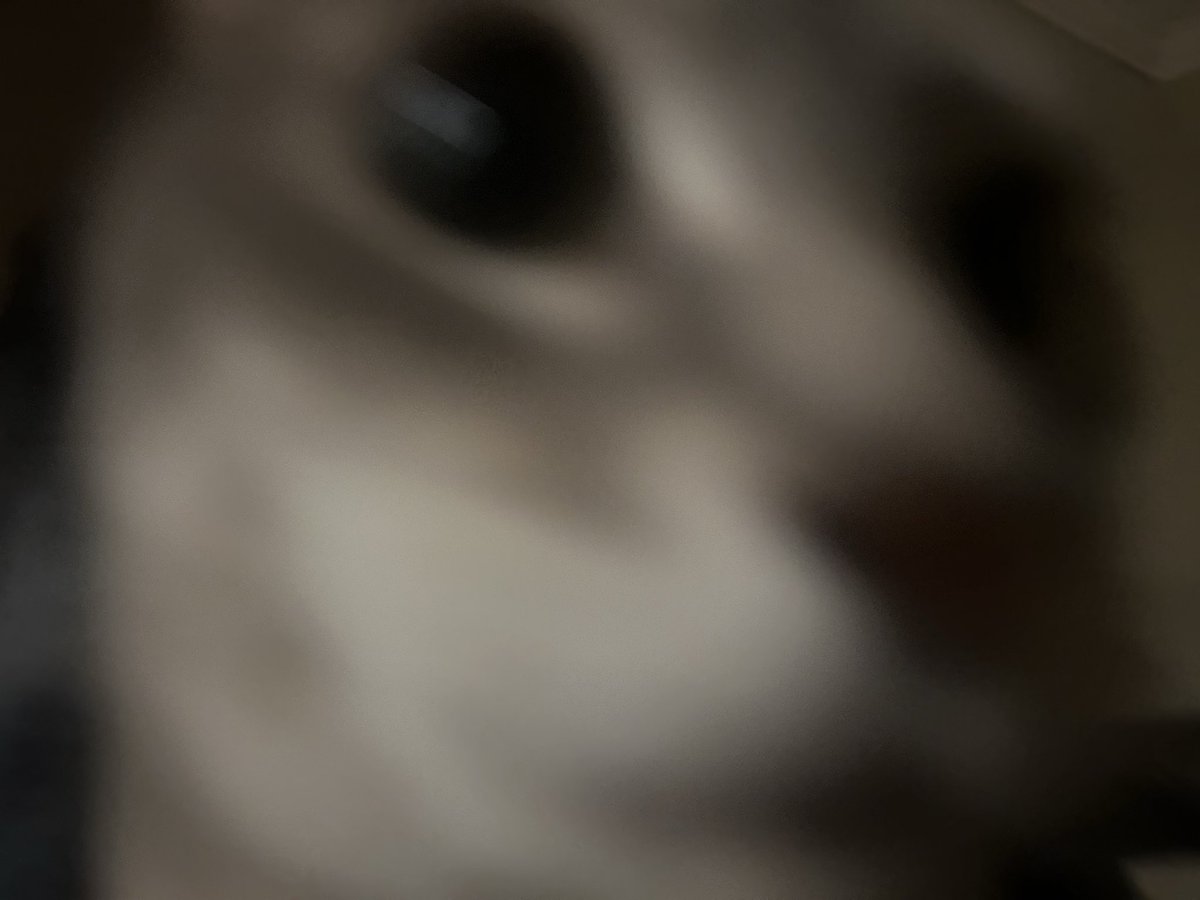 ⊹.⋆✶Ruben 🜸 ☾ ゚。⋆ tweet media