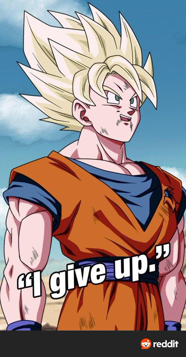 Super Vegito Fan tweet media