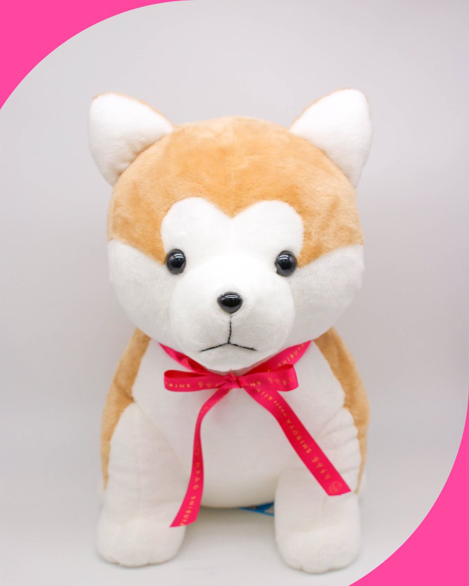 ハチふる【公式】 (@hachifull_) / Posts / X