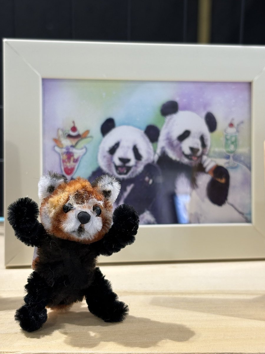 akkinea's tweet photo. 松坂屋上野店での「パンダが、すき。マルシェ」本日からスタートです🐼
今回も高氏さんのお写真から大人になったシャオレイを初めてちゃんと描かせて頂きました🐼

6/2までの開催になります。お近くの方、動物園帰りの方、是非お立ち寄りくださいませ〜！ https://t.co/UQR8zd1S0W