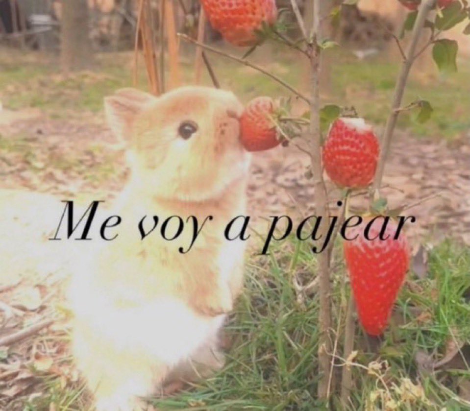 𝓣𝓸𝓶á𝓼 𝓒𝓸𝓯𝓻é tweet media