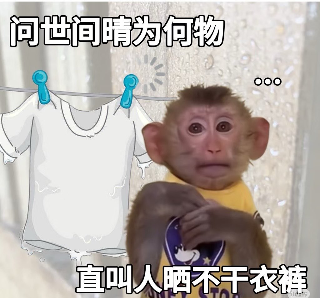 面包大大王 tweet media
