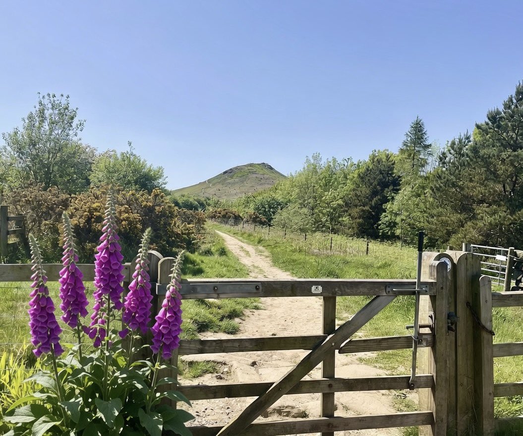 NickyJohnsonNY's tweet photo. Wishing you a wonderful Wednesday from North Yorkshire 😊 https://t.co/gBM9rqs6ny