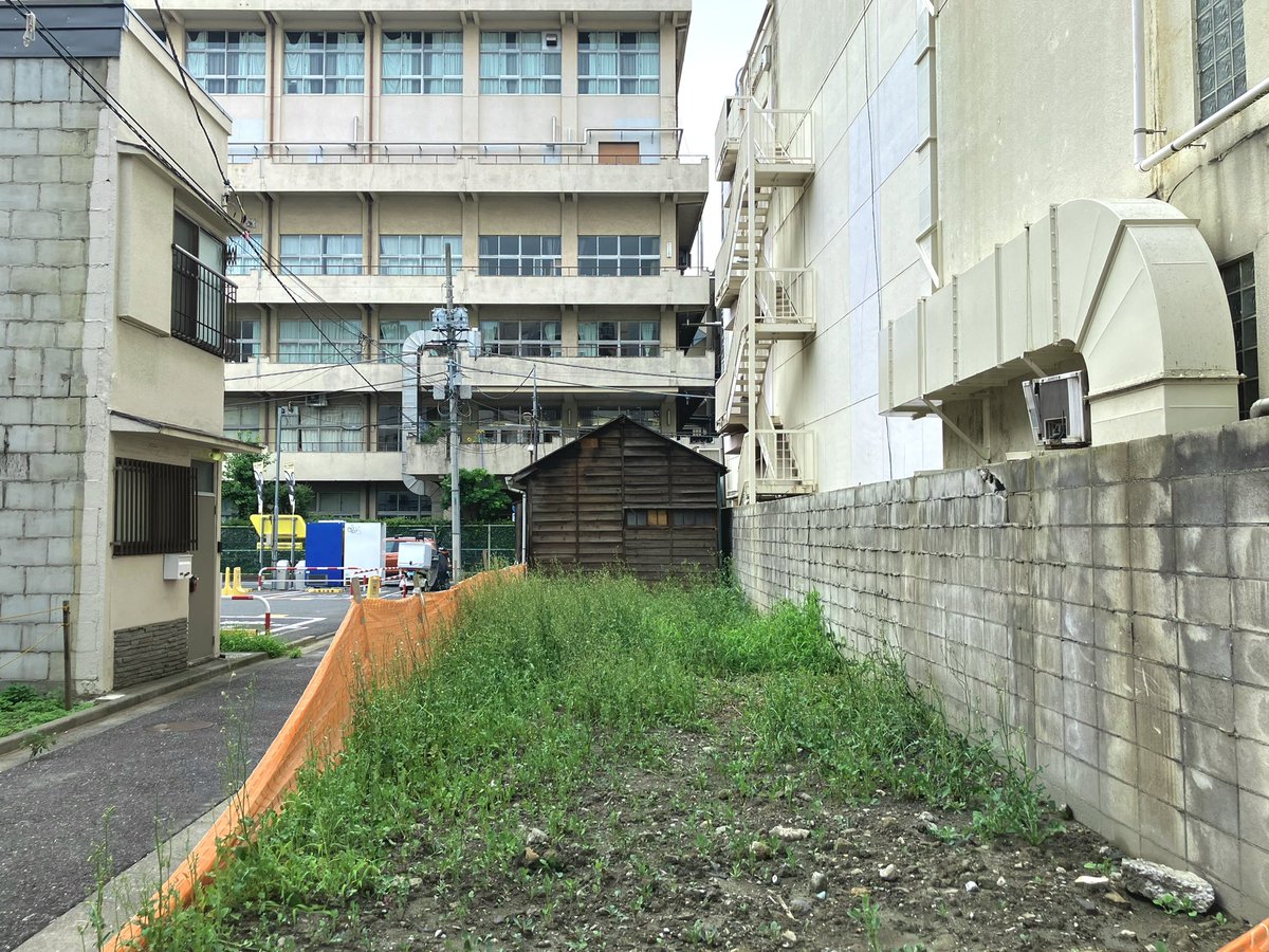 creative_i_p's tweet photo. ちょっと違う話だけど、この季節散歩していると住宅街で出会う空き地に色とりどりで背の高さがさまざまな雑草がみちみちに満たされて茂っていて。その無作為な立体感や色彩にヨーロッパの田舎の個人住宅のガーデンのような美しさを感じる。 https://t.co/LV8IS6W8NM